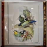 A14. Framed birds print. 